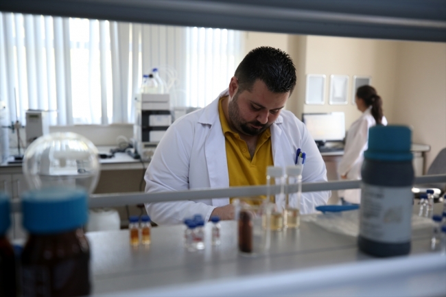 Fındık atıklarından kemoterapi ilaçlarının etken maddesi elde edildi